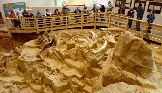 mammoth site