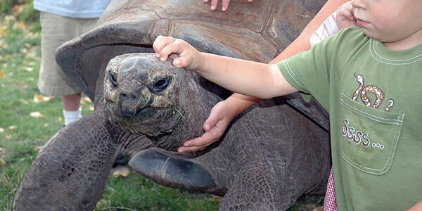 Reptile Gardens has the largest reptile collection in the world and is only 10 minutes from Yak Ridge Cabins and Farmstead