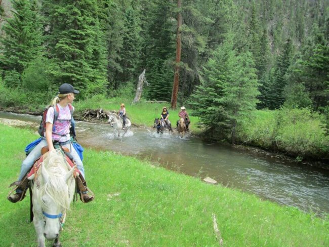 Andys Trail Rides