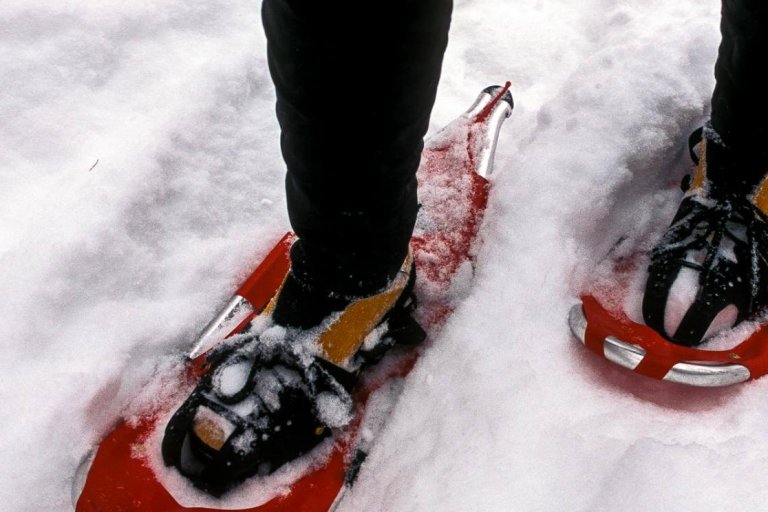 Snowshoeing